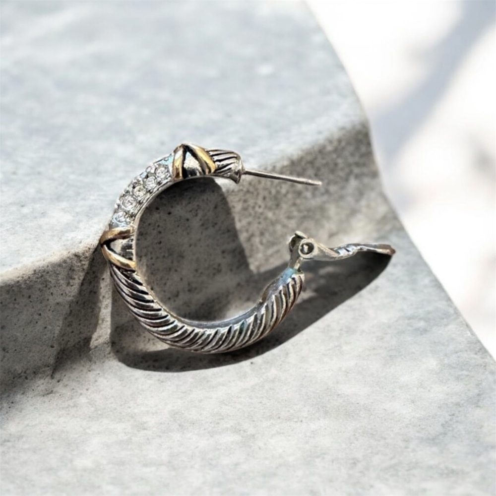 Elegant Silver and Gold Hoop Earring